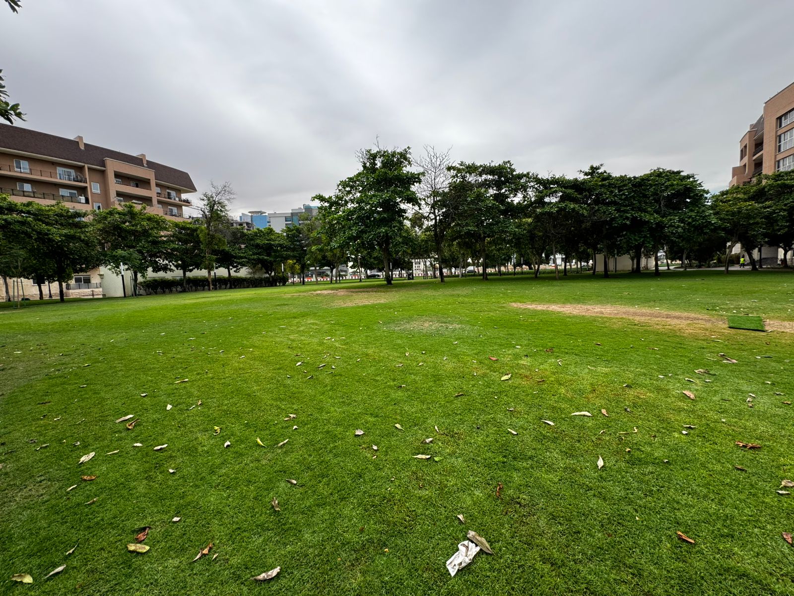 Available 24 MAY | 3+Maids | High Floor