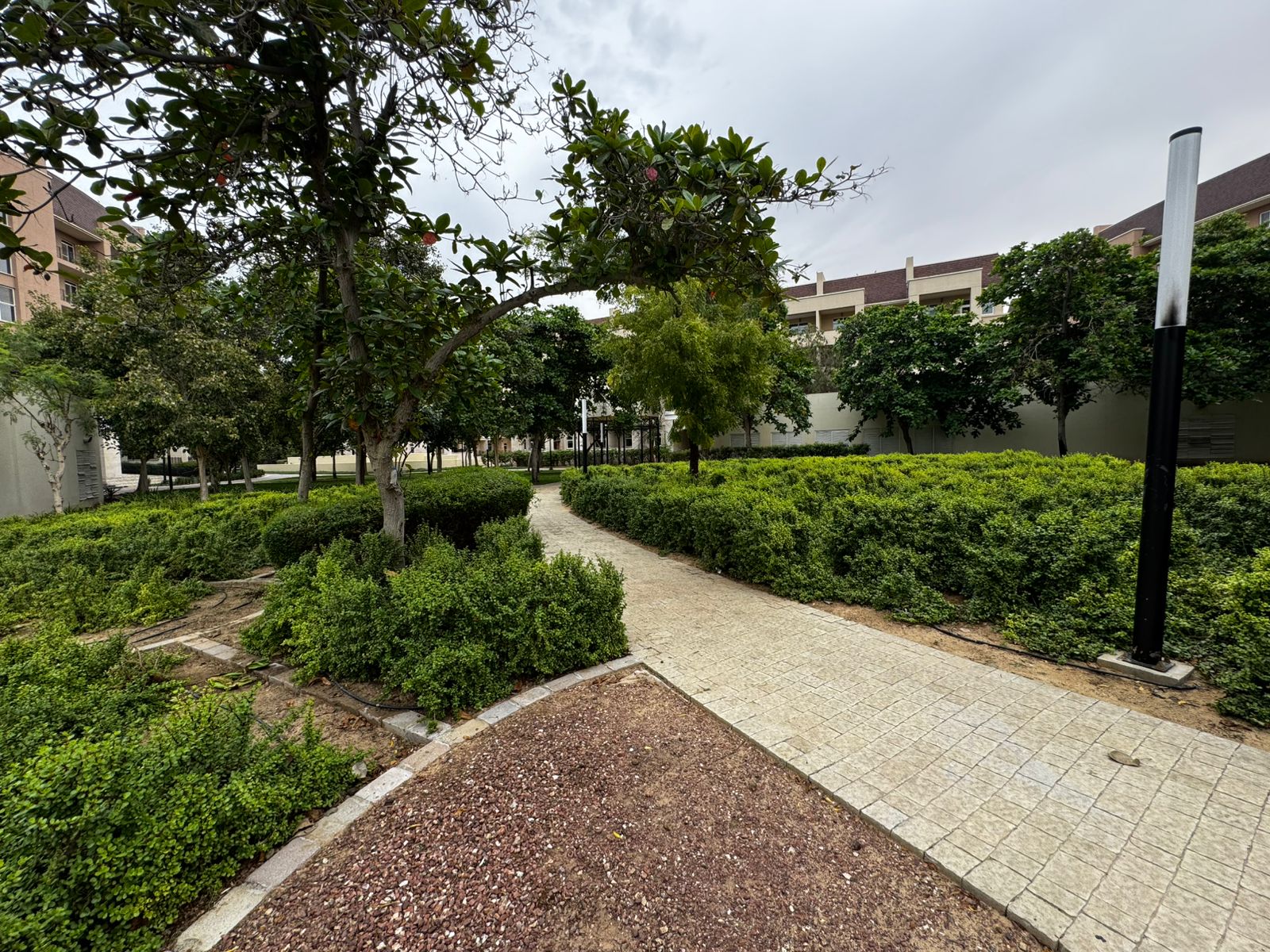 Side Image 1