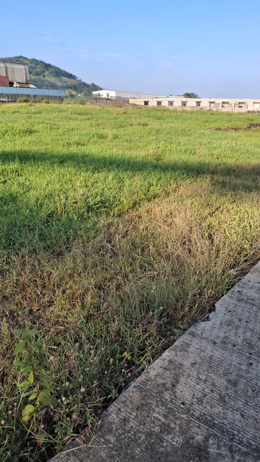 Sawardari (Mahalunge)