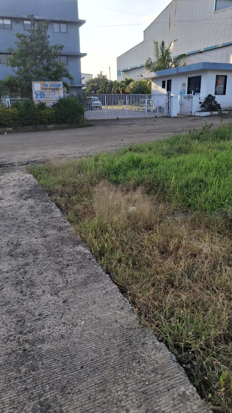Sawardari (Mahalunge)