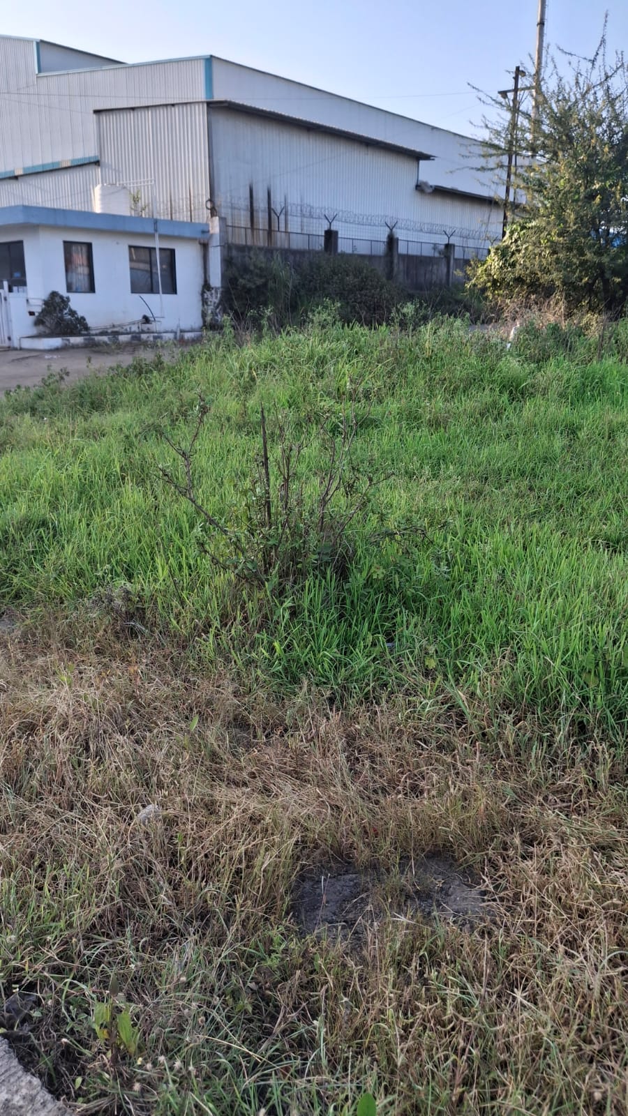 Sawardari (Mahalunge)