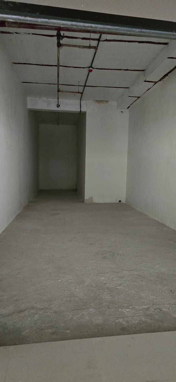 Runwal avenue Kanjurmarg east Property 1