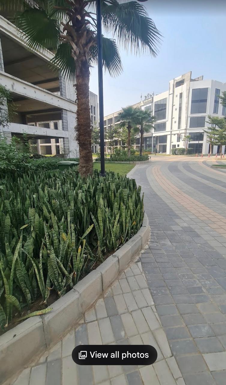 M3M Sco,Sector 84,Gurgaon .