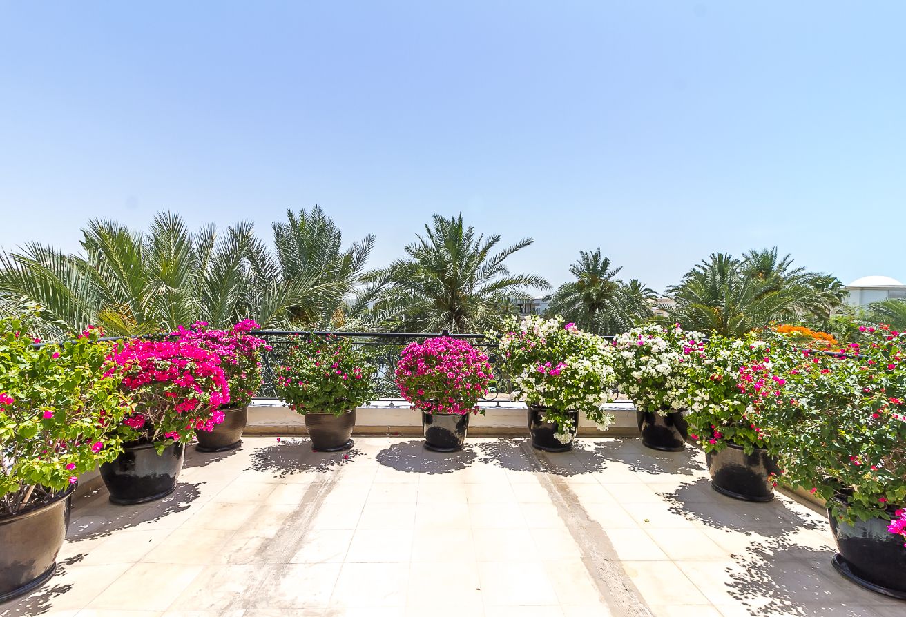 Emirates Hills 15